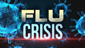 flu-crisis